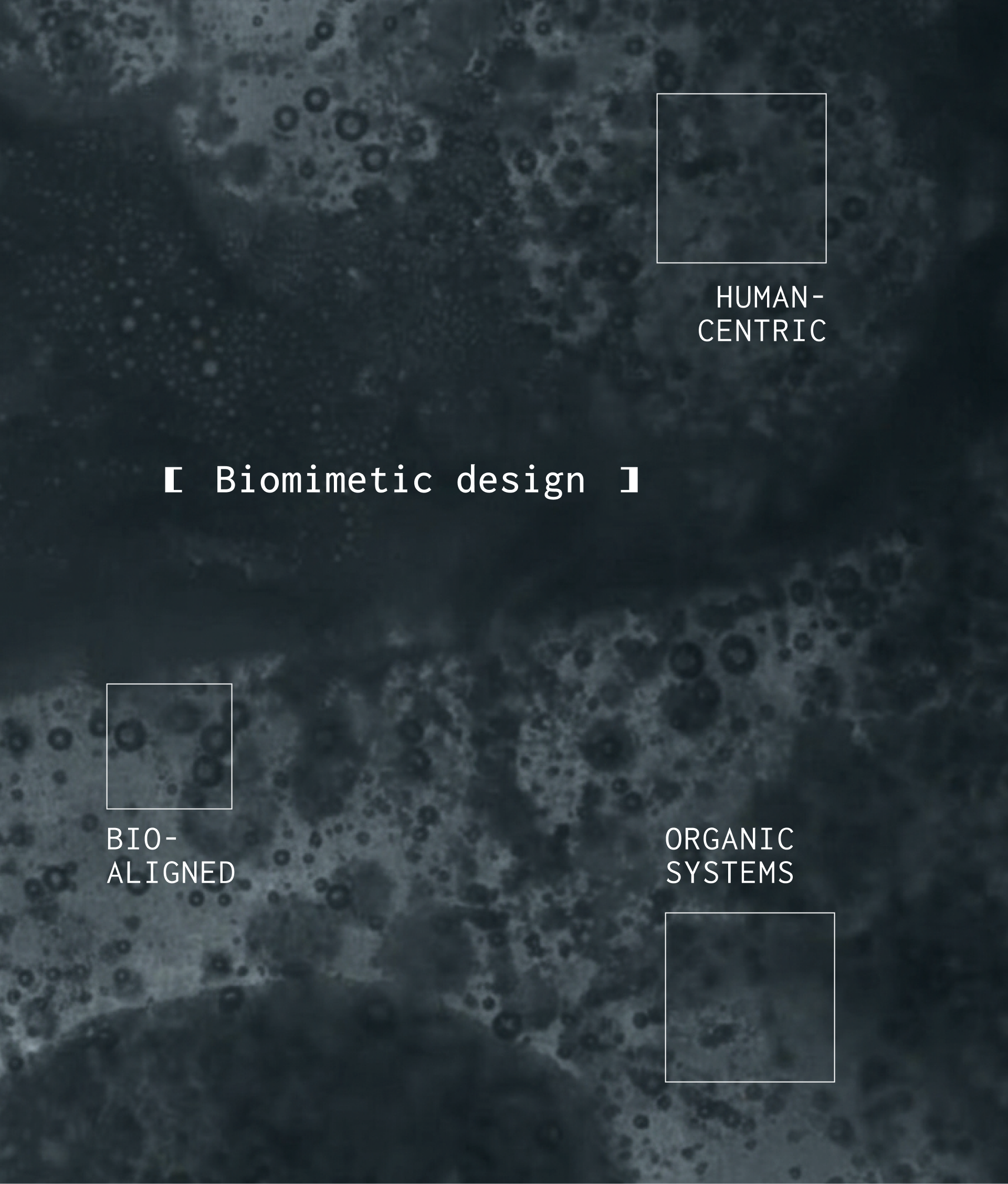 Biomimetic design